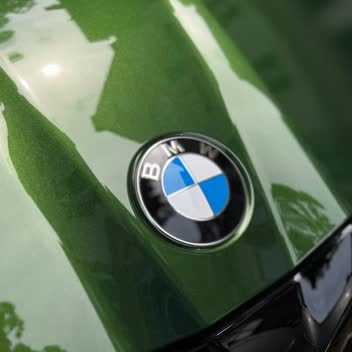 A BMW roundel on freshly polished green paintwork.